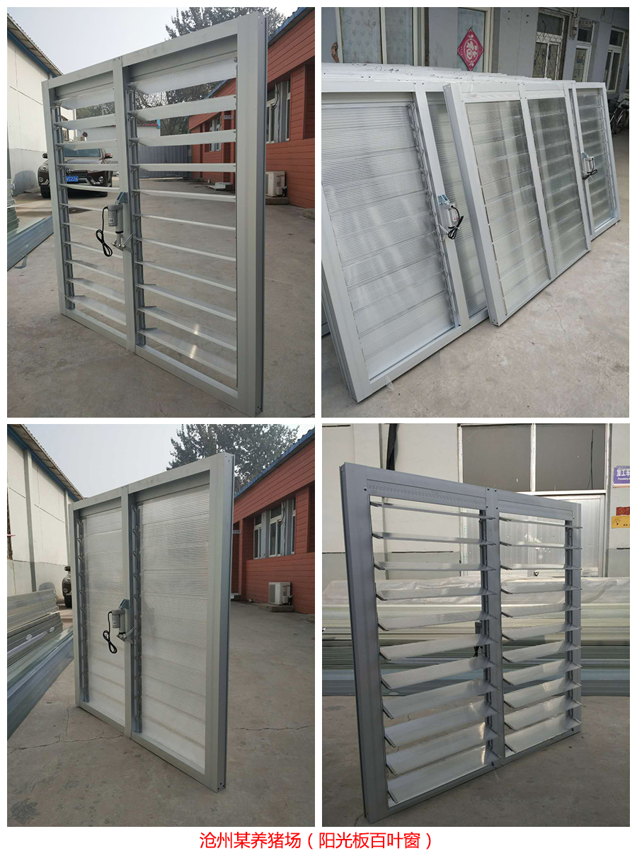 陽(yáng)光板百葉窗-電動(dòng)陽(yáng)光板百葉窗-廠家價(jià)格